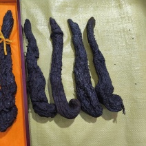 纯软质肉苁蓉大芸高原佳品泡酒必备良品