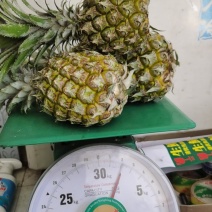 好货，好货，可以联系了，又香又甜的香水菠萝