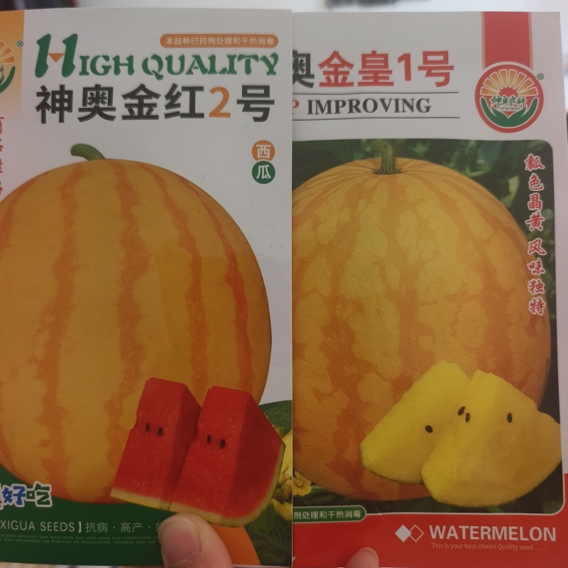 冰淇淋皇冠西瓜种子黄皮瓤瓜籽早熟薄皮甜脆大果春秋四季种子