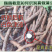 新鲜蒲公英根婆婆丁根新鲜黄花苗根现挖可种植