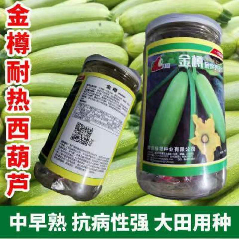 绿领金樽耐热西葫芦种子茭瓜白瓜种籽占瓜蔬菜种子抗病春秋种