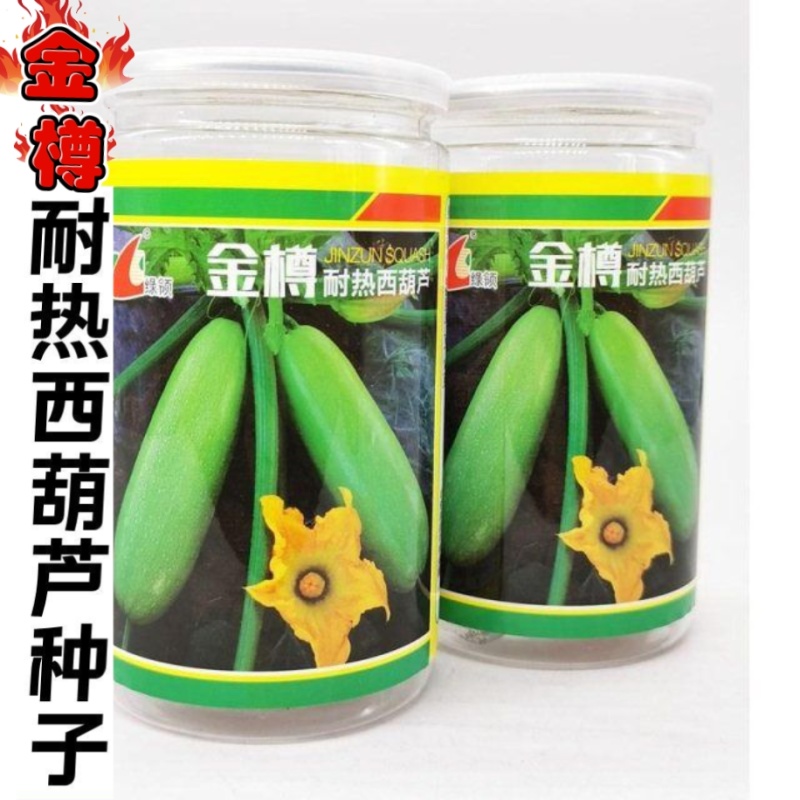 绿领金樽耐热西葫芦种子茭瓜白瓜种籽占瓜蔬菜种子抗病春秋种