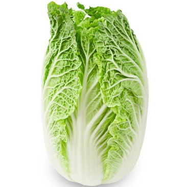 白菜黄心白菜产地直供保质保量欢迎订购