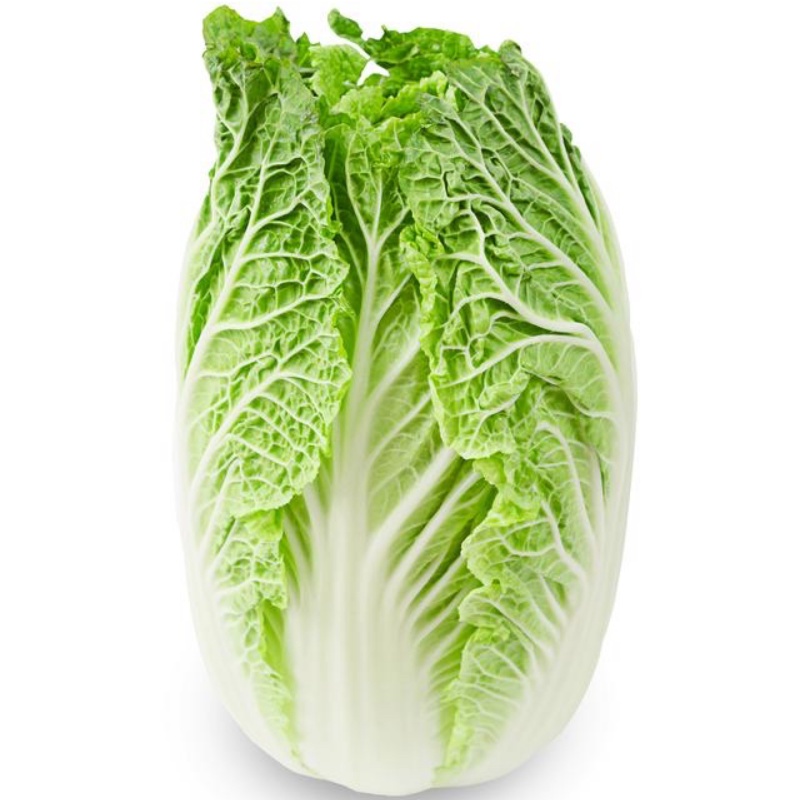 白菜黄心白菜产地直供保质保量欢迎订购