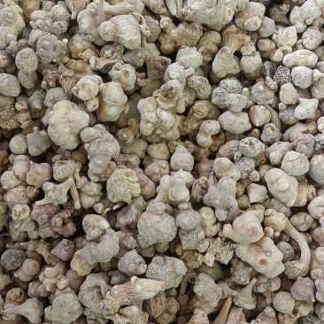 竹节参各种中药材名贵药材冷背药材和电商品实体加平台