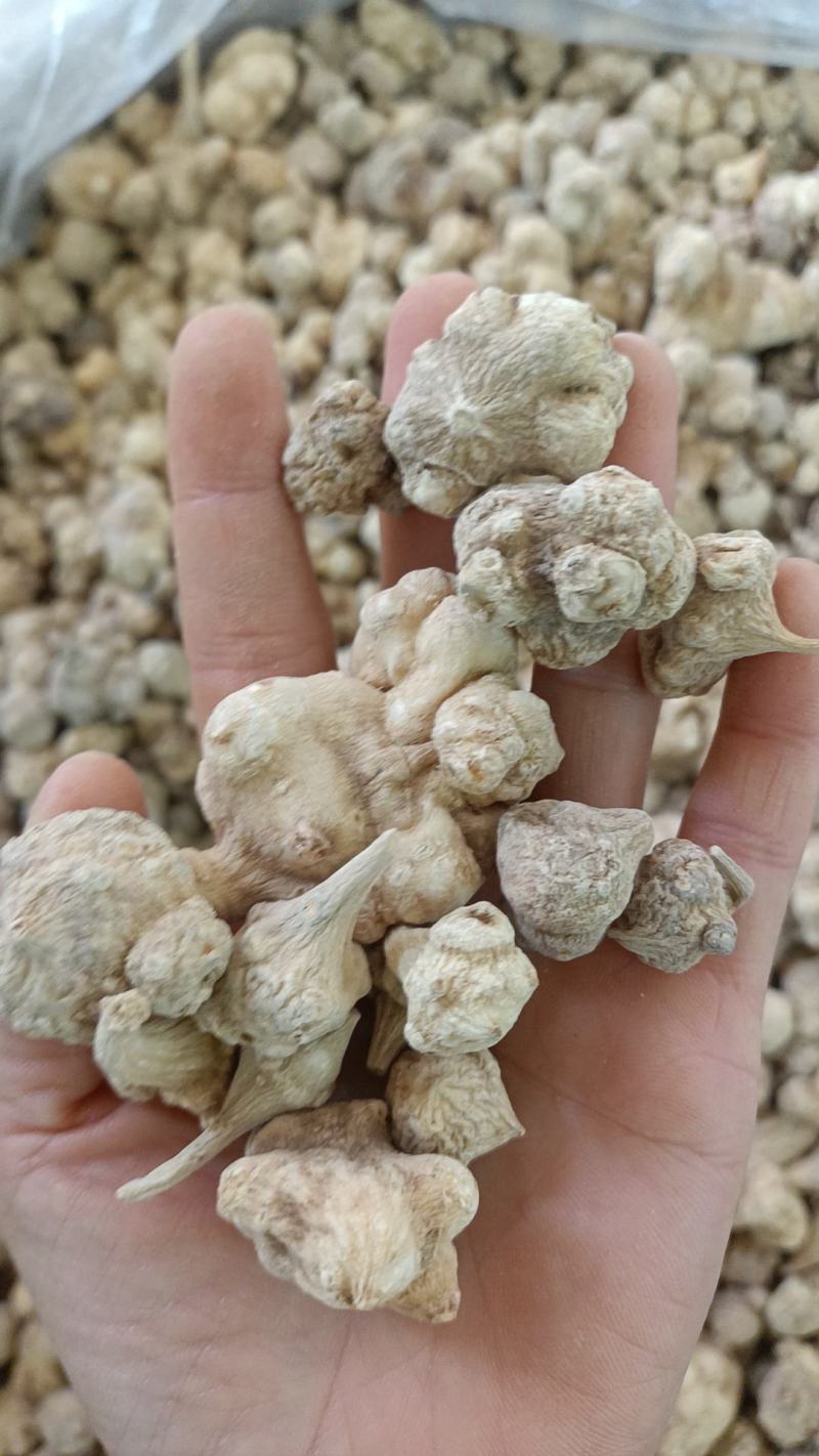 竹节参各种中药材名贵药材冷背药材和电商品实体加平台