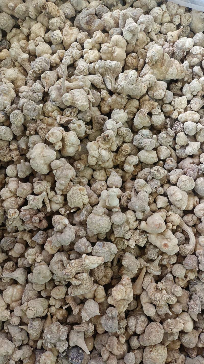 竹节参各种中药材名贵药材冷背药材和电商品实体加平台