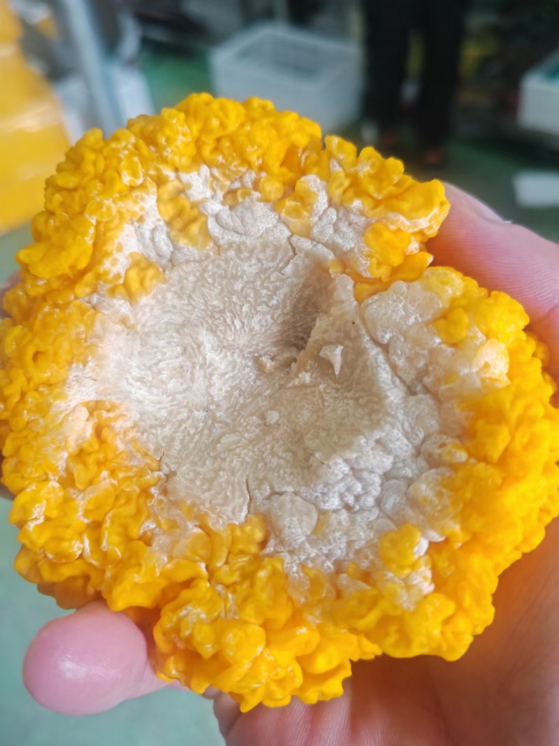 金耳干品，有需要的直接电话联系我量多优惠，欢迎交流合作。