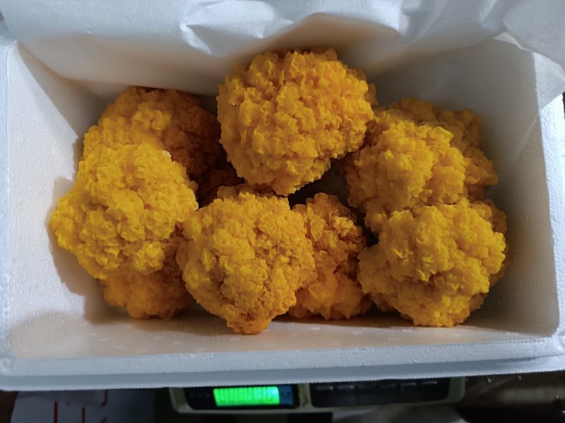金耳干品，有需要的直接电话联系我量多优惠，欢迎交流合作。