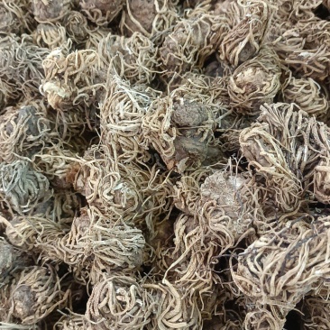 头顶一颗朱各种冷背药材电商**