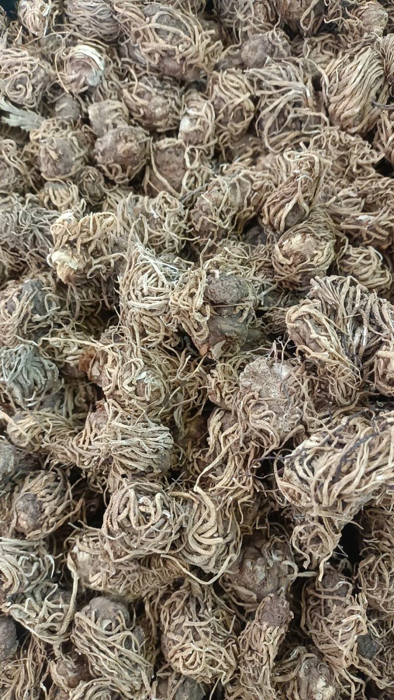 头顶一颗朱各种冷背药材电商**