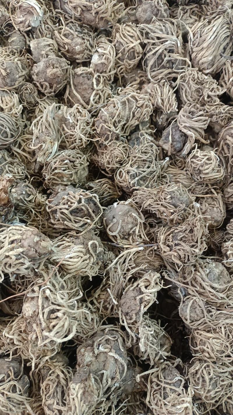 头顶一颗朱各种冷背药材电商**