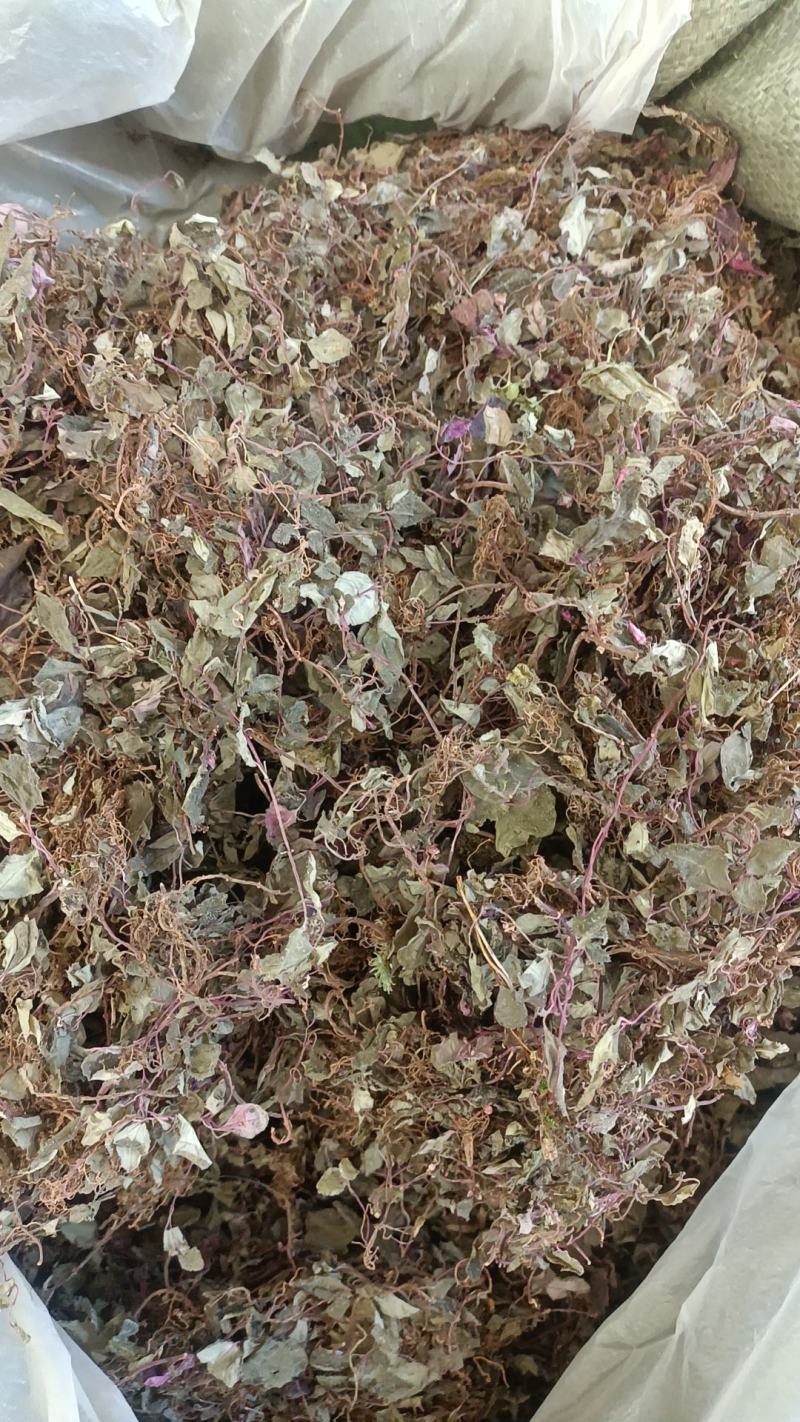 风柜斗草野生货，各种中药材名贵药材冷背药材批发