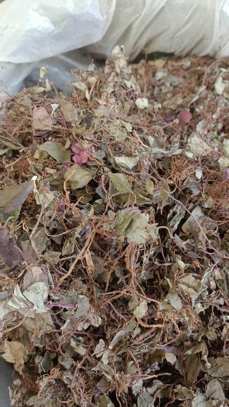 风柜斗草野生货，各种中药材名贵药材冷背药材批发