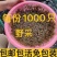 黑壳虾草缸清洁虾乌龟龙鱼饲料除藻虾观赏虾工具虾草虾活体虾