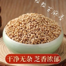 河南农家自种熟白芝麻烘干粒粒香浓熟食烘焙加工