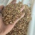 甘草红皮高含量3-5丁一件直发，工厂直发