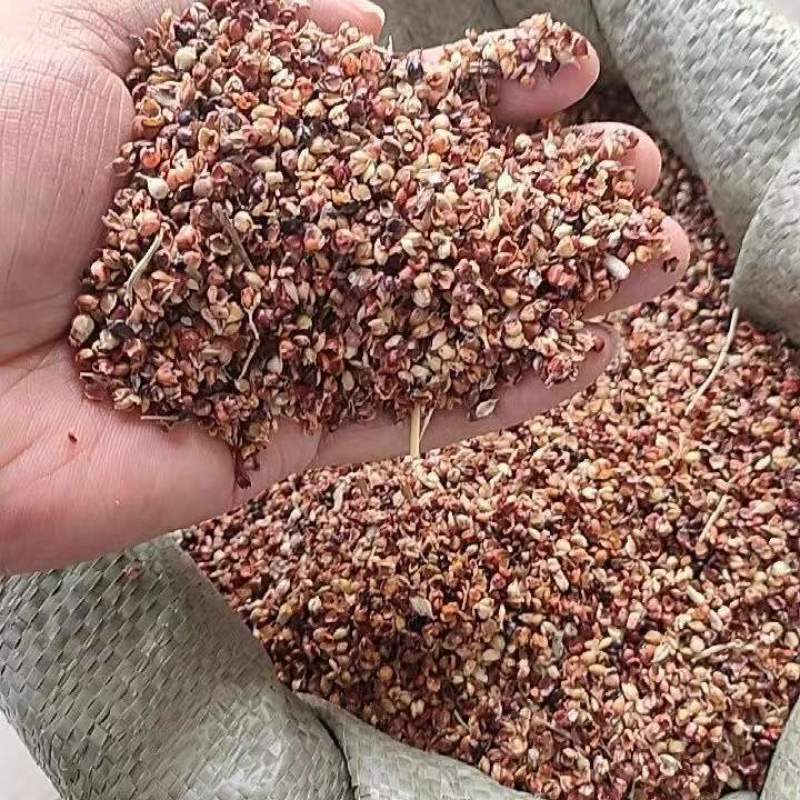 高粱壳