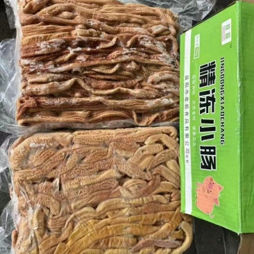 猪小肠