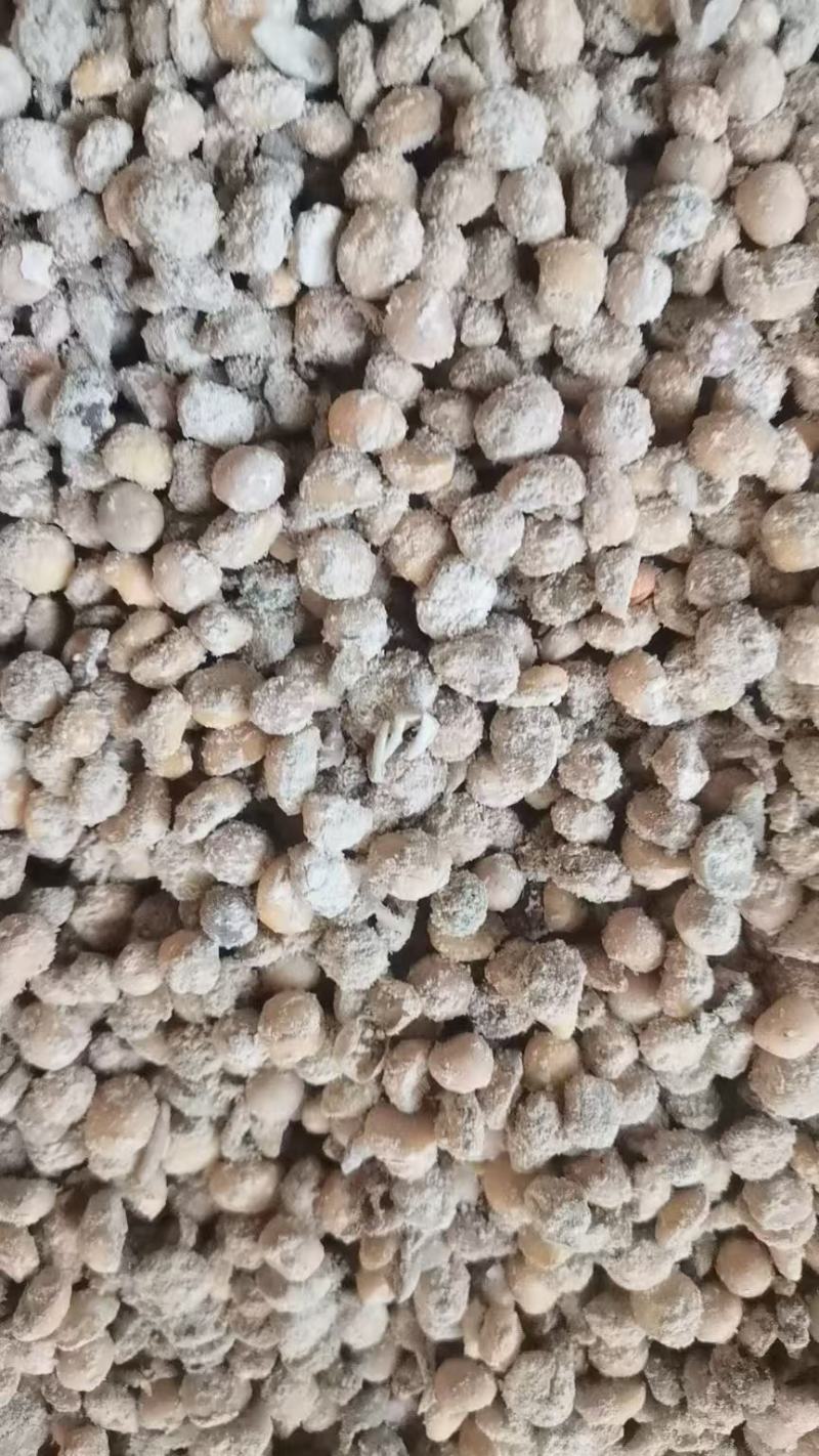 发酵大豆肥料大豆肥微生物肥料纯大豆发酵效果肥料有机质