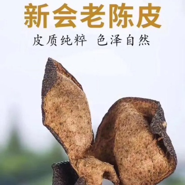 厂家新会老陈皮天马，梅江东甲，连锁企业食品标准