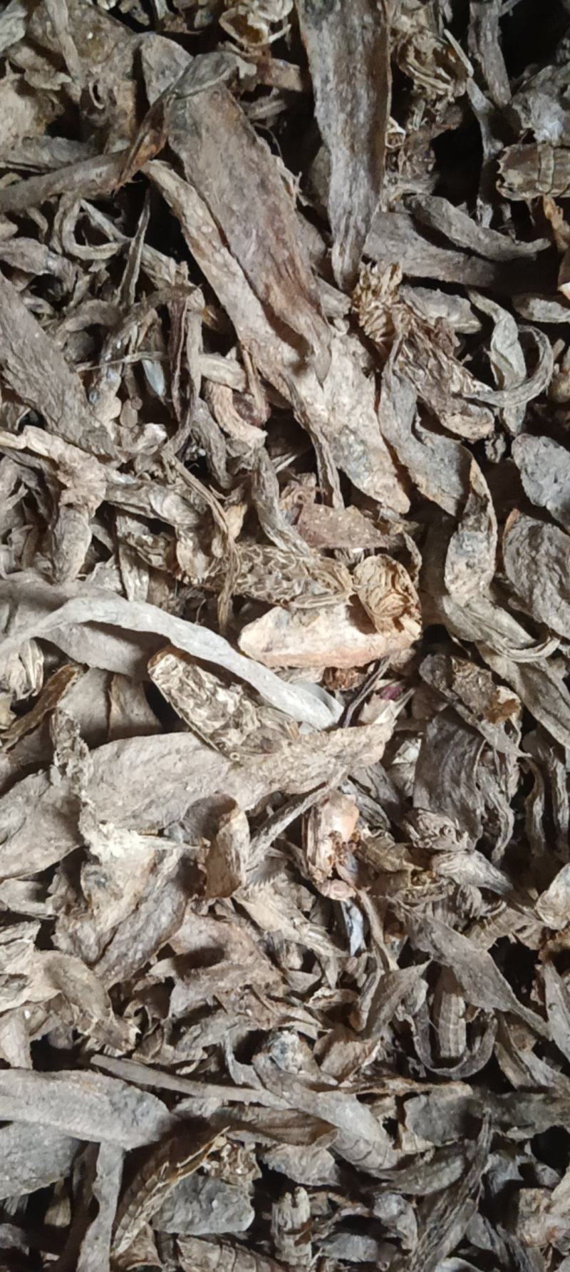 脱脂鱼粉，产地直供，量大从优，国产，进口各种货都有