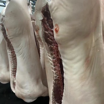 猪肉货源充足，产地直发，诚信经营，欢迎客商来电