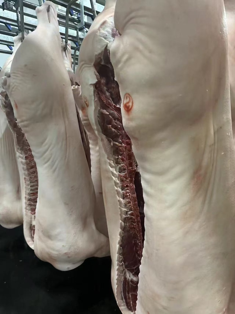 猪肉货源充足，产地直发，诚信经营，欢迎客商来电