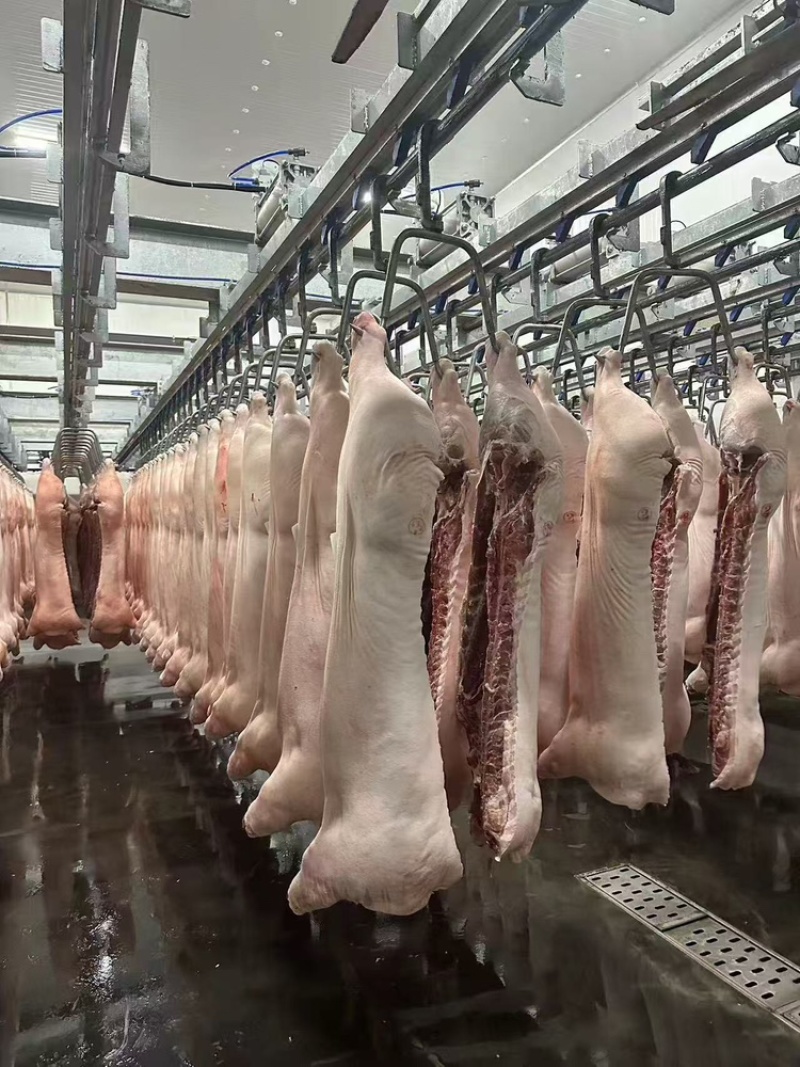 猪肉货源充足，产地直发，诚信经营，欢迎客商来电