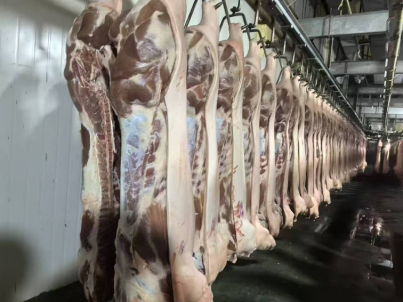 猪肉货源充足，产地直发，诚信经营，欢迎客商来电