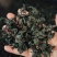 裙带菜灰干裙带菜厂家直销量大质优价格优惠一手货源