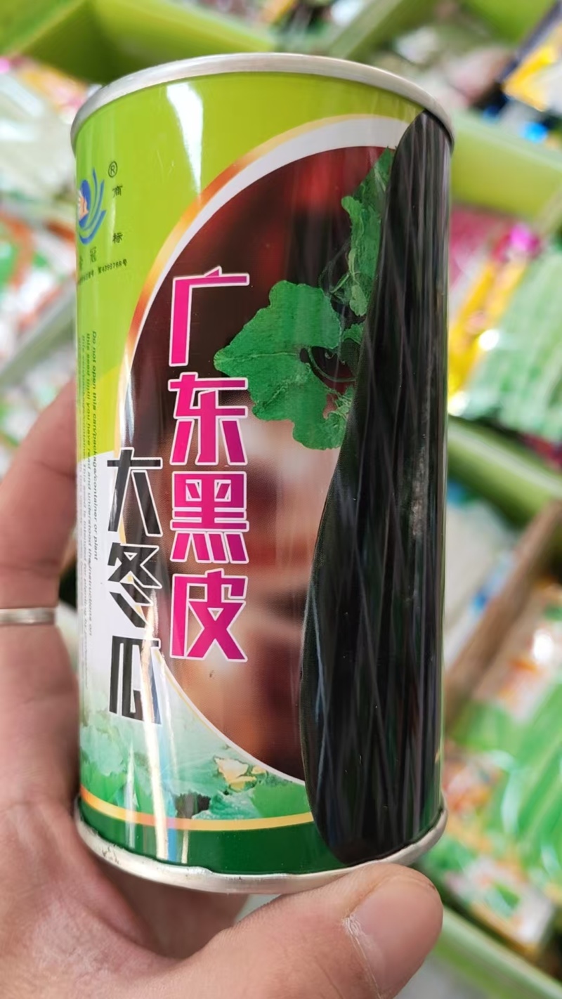 实心满心杂交爬地黑皮冬瓜种子青皮冬瓜种子炮筒型腔室小