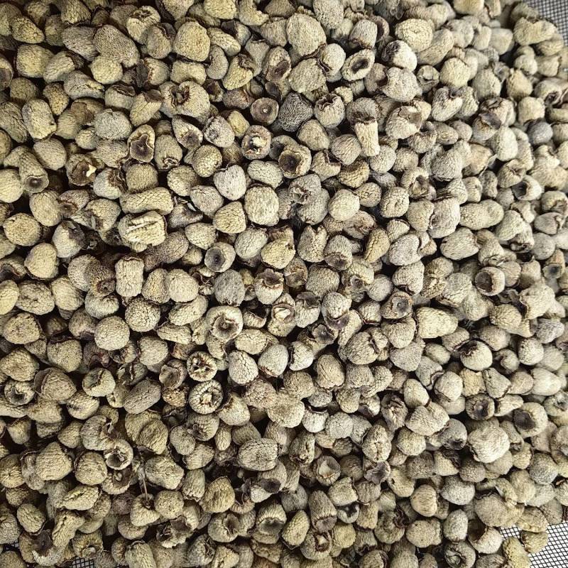 覆盆子大粒粒粒饱满各种规格