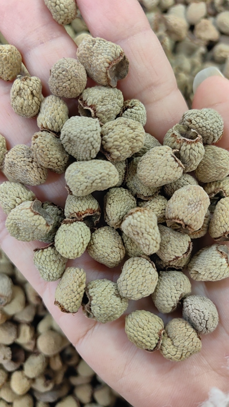覆盆子大粒粒粒饱满各种规格