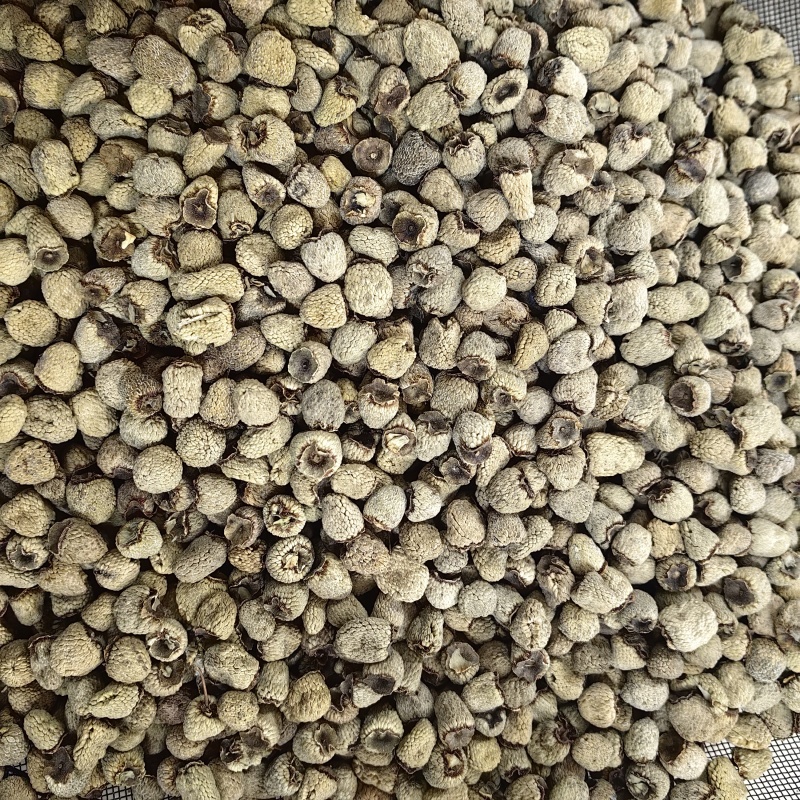 覆盆子大粒粒粒饱满各种规格