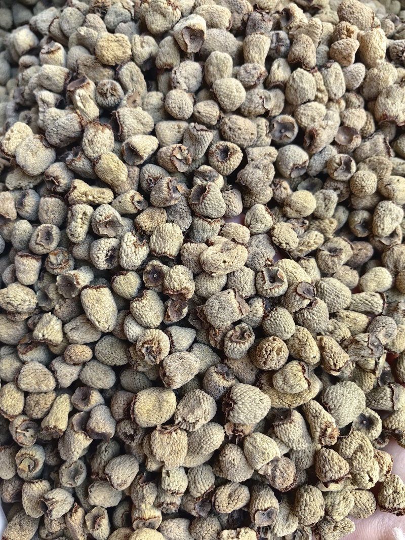 覆盆子大粒粒粒饱满各种规格