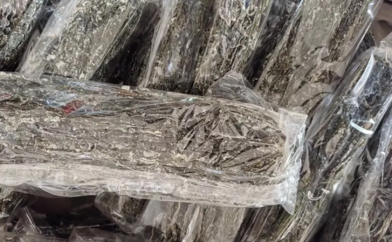 干海带大量供应广东基地直供质量保证量大优惠欢迎订购