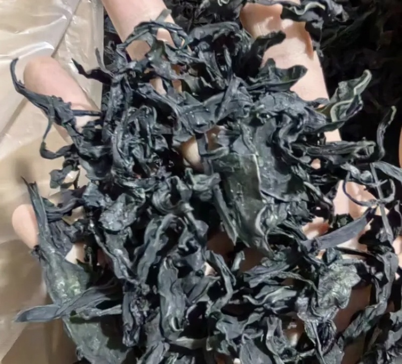 干裙带菜无盐无沙质量保证基地直供一手货源量大优惠