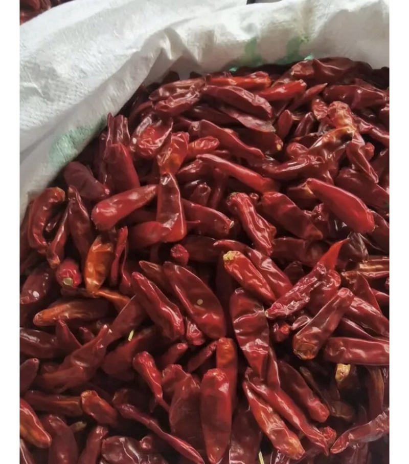 子弹头干辣椒大量供应产地直发质量保证货源充足欢迎订购