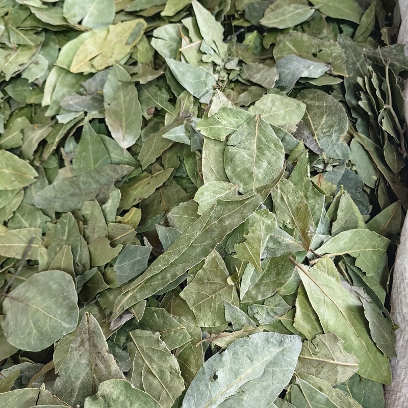 香叶精选香叶批发零售皆可