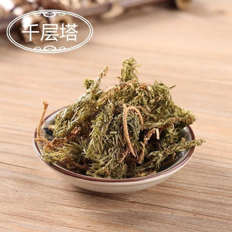 千层塔中药材千层塔蛇新鲜毛特级虱子草生扯拢