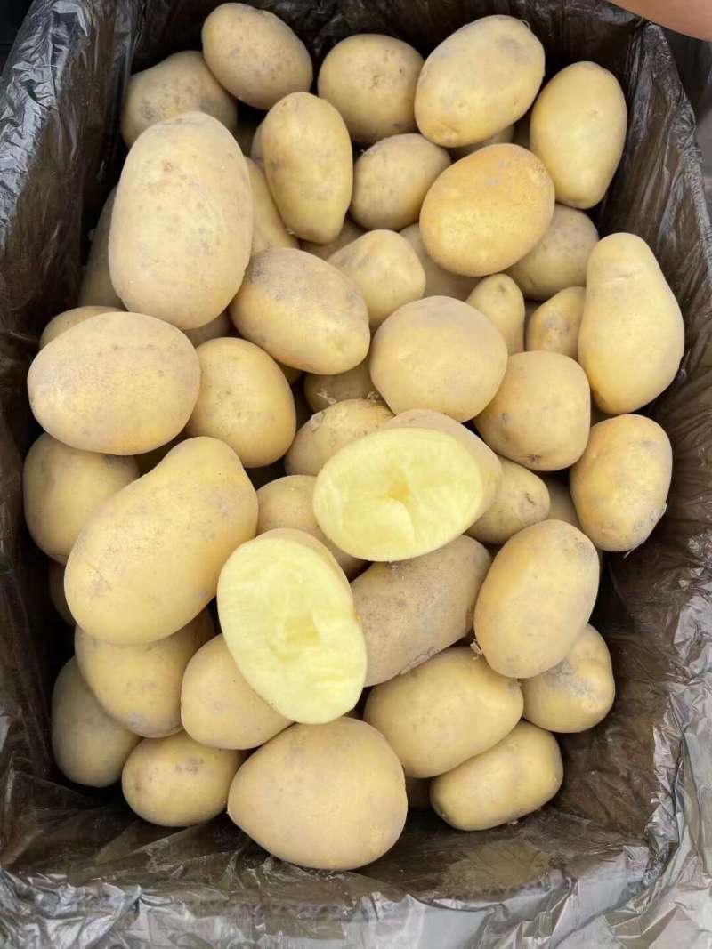 v7土豆开封黄皮黄心土豆干洗出库代收代发代加工全国