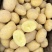 v7土豆开封黄皮黄心土豆干洗出库代收代发代加工全国