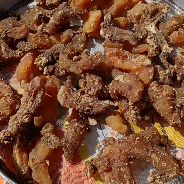 黄精干货