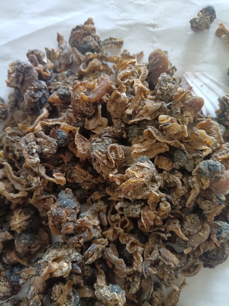 扇贝肉（饲料用）