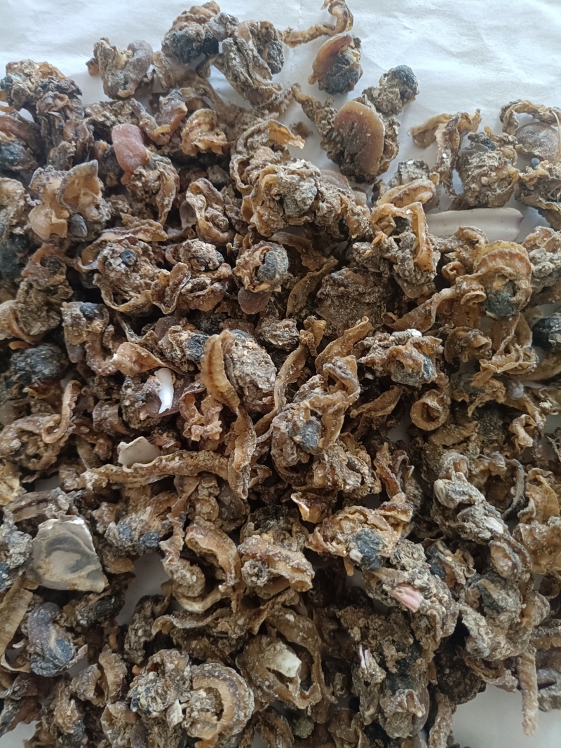 扇贝肉（饲料用）