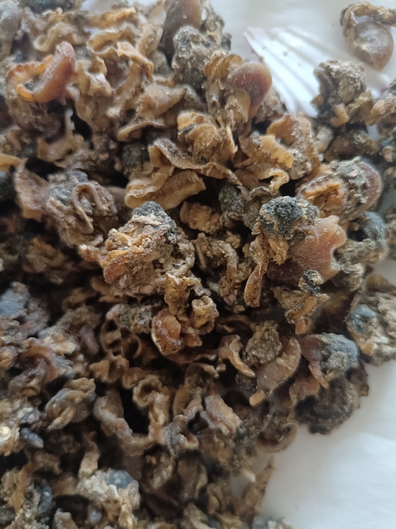 扇贝肉（饲料用）