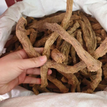 千年健个1公斤中药材正品千年健广西千年见千年健香料泡水煲汤