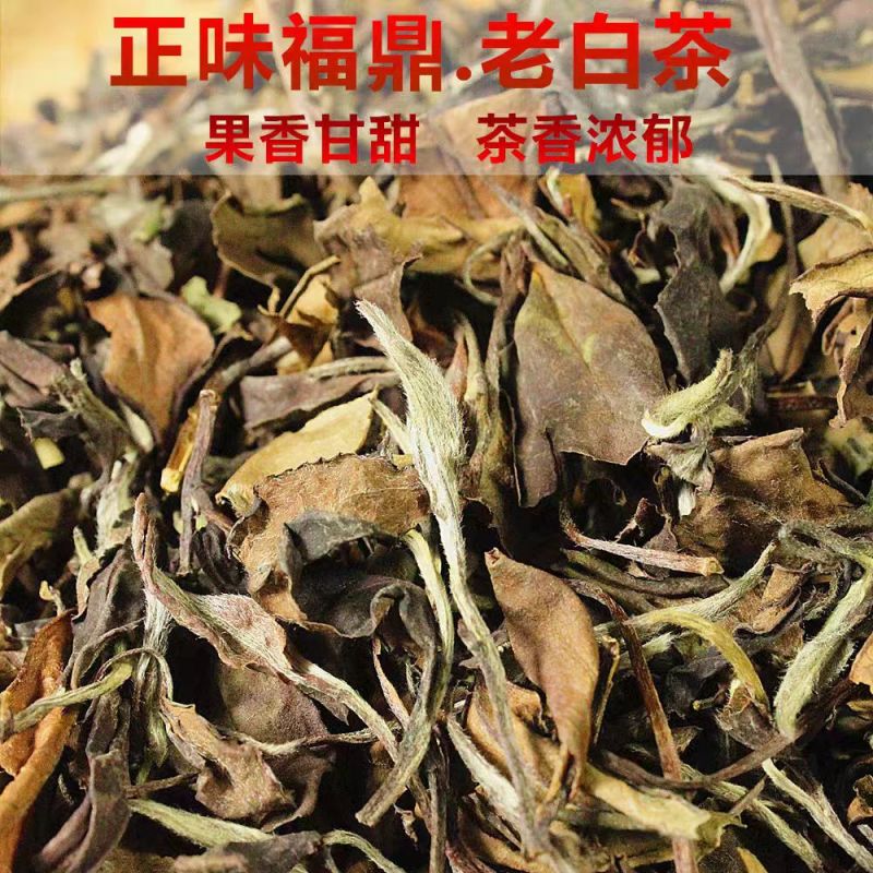福鼎老白茶，白毫银针白牡丹，福鼎茶园工厂直供