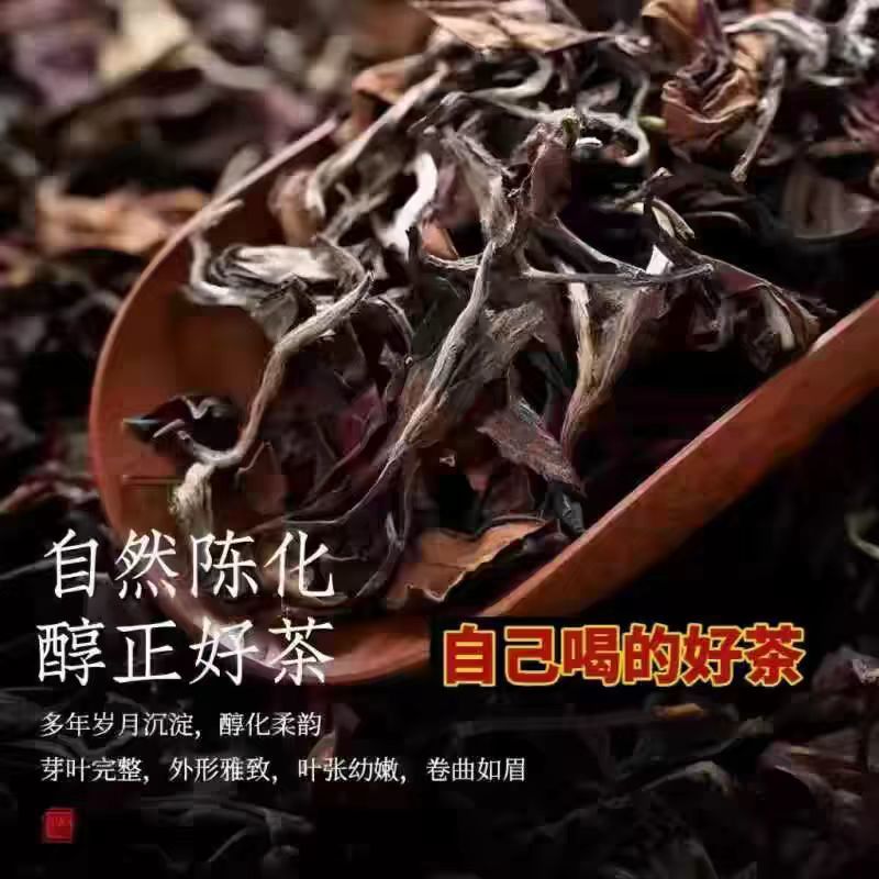 福鼎老白茶，白毫银针白牡丹，福鼎茶园工厂直供